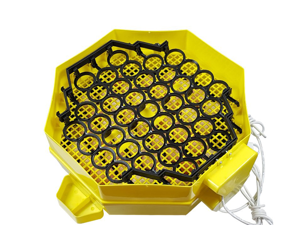 Automatická líheň na vejce CLEO 5x2 DTH AUTOMATIC