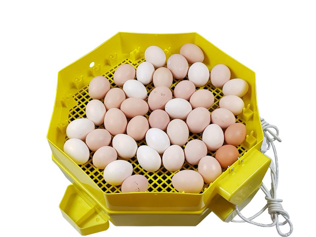 Automatická líheň na vejce CLEO 5x2 DTH AUTOMATIC