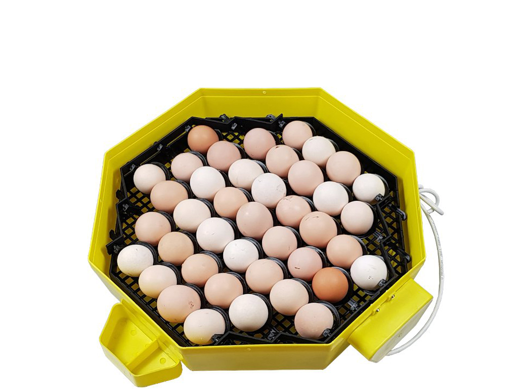 Automatická líheň na vejce CLEO 5x2 DTH AUTOMATIC