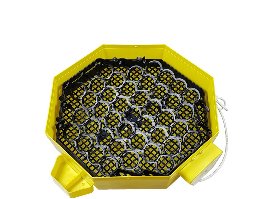 Automatická líheň na vejce CLEO 5x2 DTH AUTOMATIC