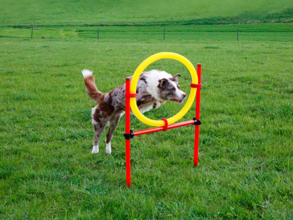 Agility překážky pro psy KERBL, set 3 typy
