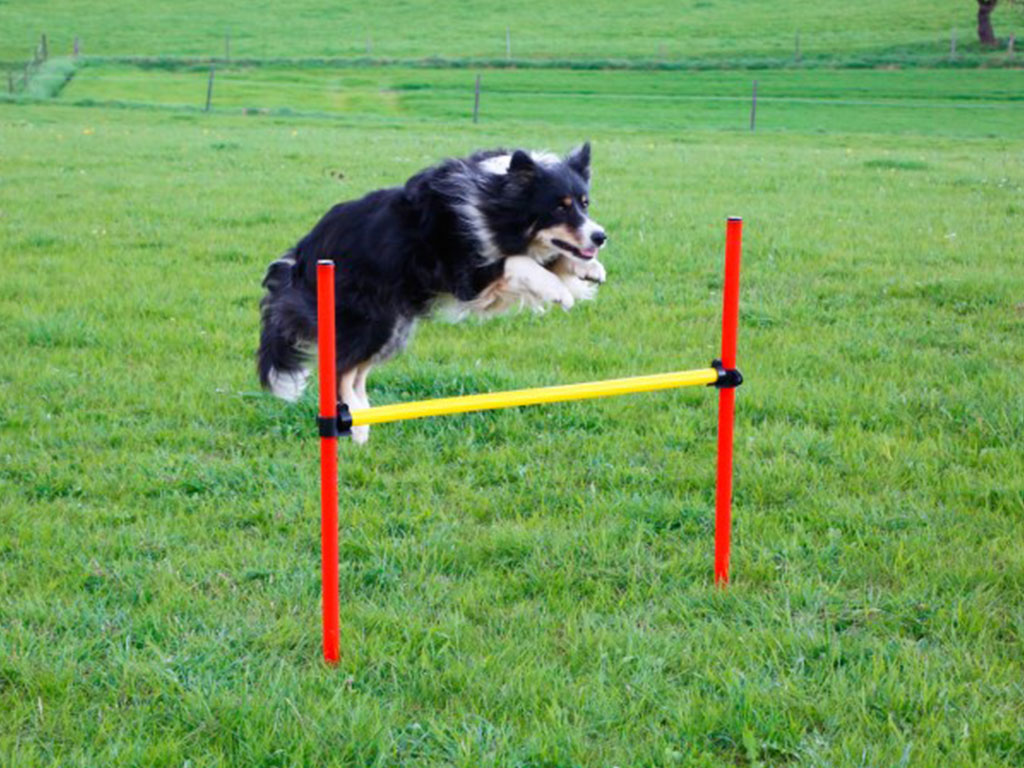 Agility překážky pro psy KERBL, set 3 typy