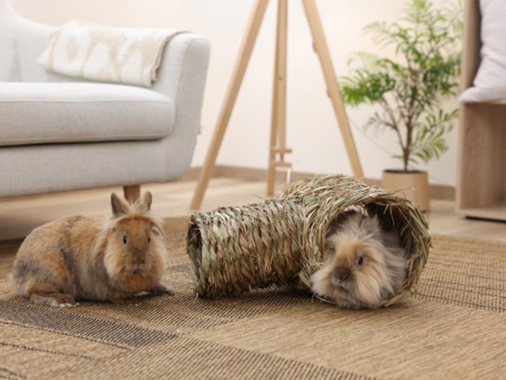 Domek pro králíky, tunel z trávy KERBL 24x30x24 cm