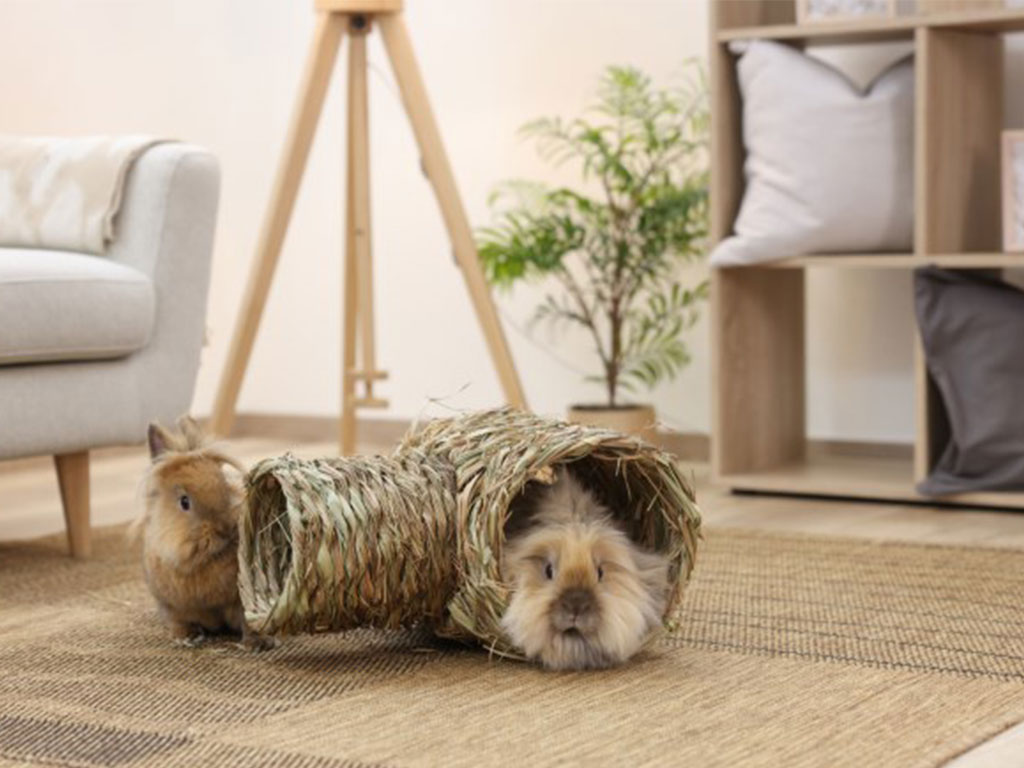 Domek pro králíky, tunel z trávy KERBL 24x30x24 cm