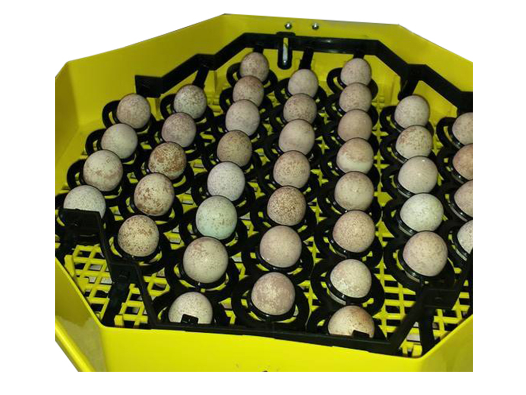 Otočný rošt na bažantí vejce pro líhně CLEO BAŽANT