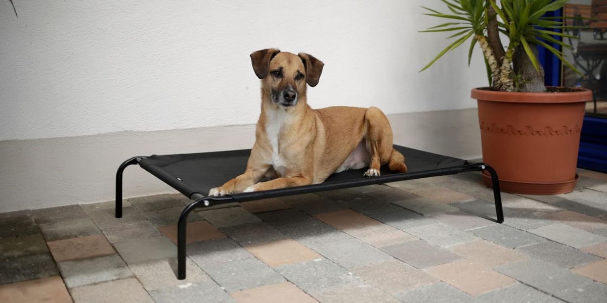 Lehátko pro psa KERBL VACATION 107x65x20cm