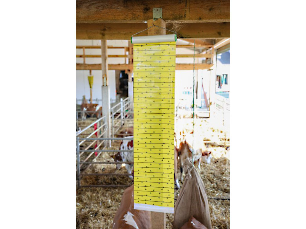 Mucholapka se závěsem KERBL JUMBOXL 40cm x 10m