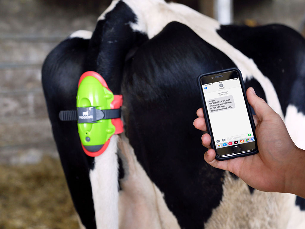 Elektronický alarm otelení skotu KERBL 10500 MOOCALL