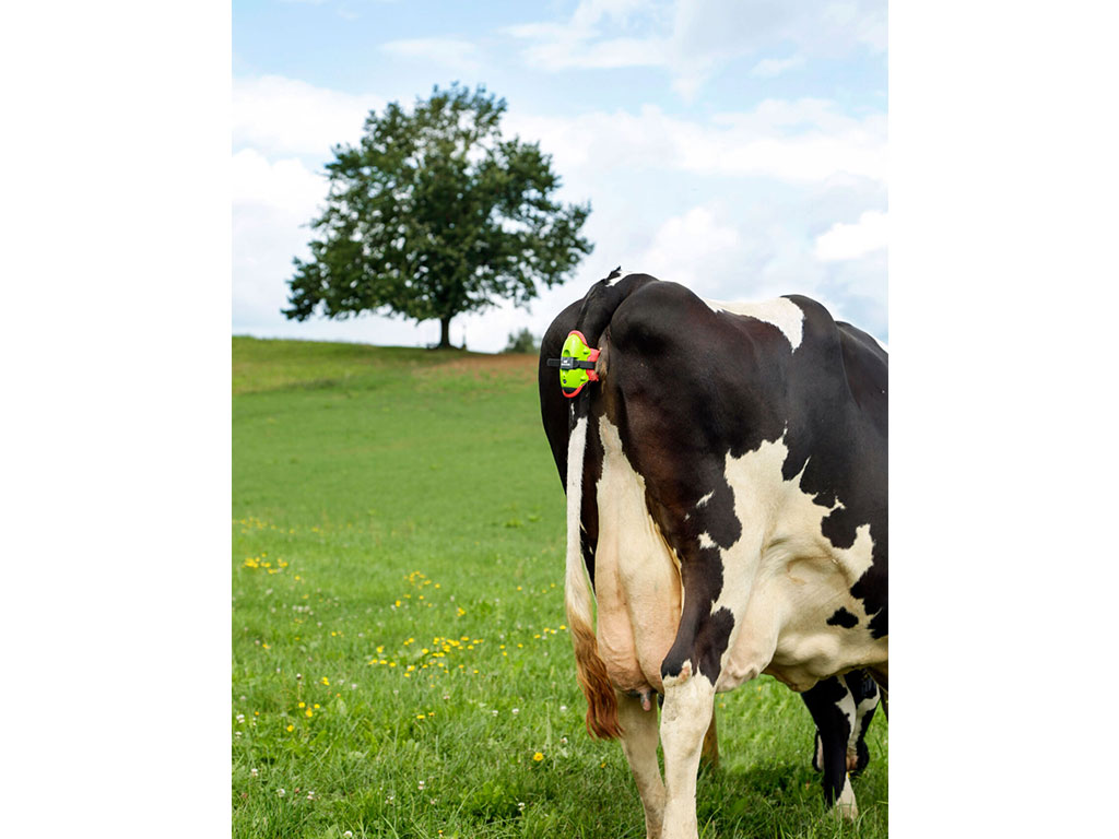 Elektronický alarm otelení skotu KERBL 10500 MOOCALL