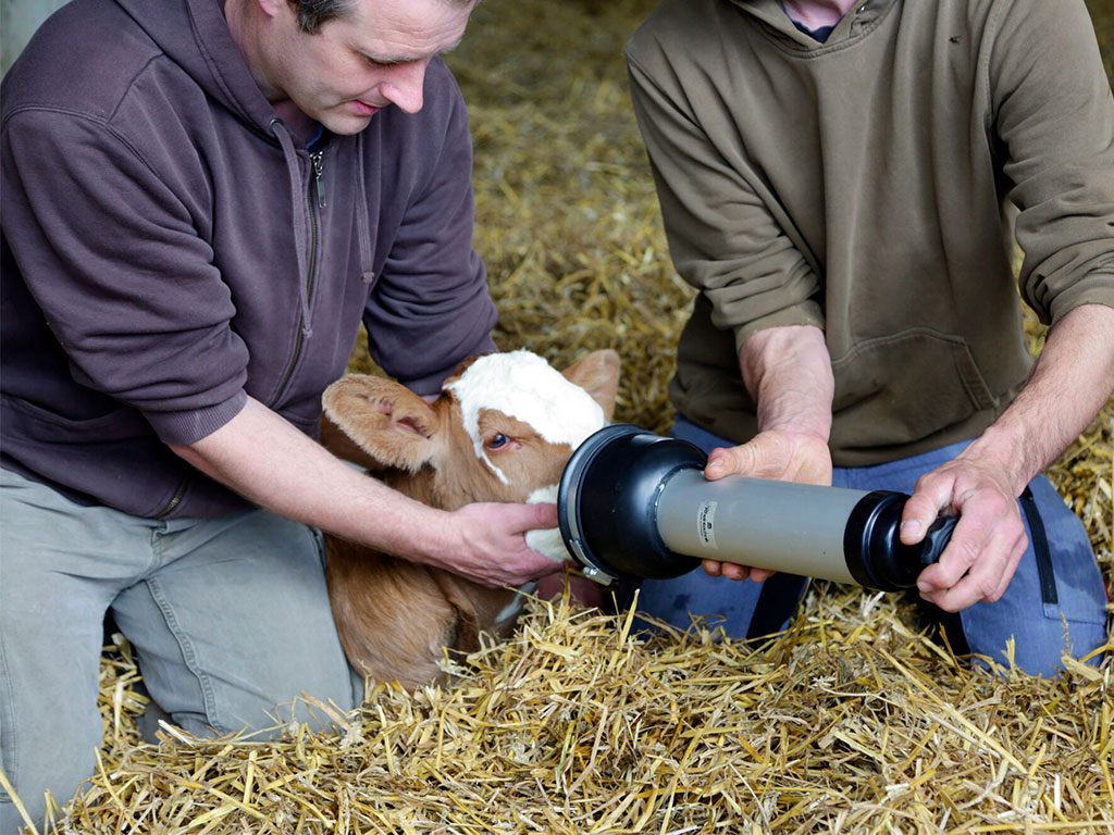 Resuscitátor a vysávací pumpa pro telata KERBL 1032 BRON