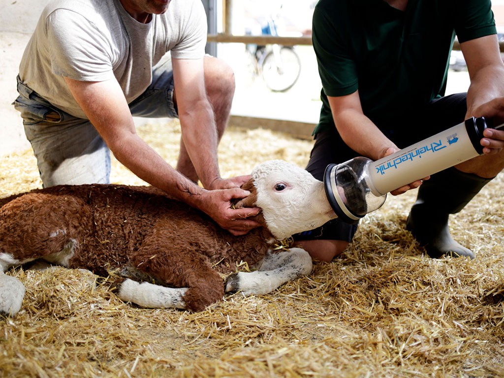 Resuscitátor a vysávací pumpa pro telata KERBL 1032 BRON