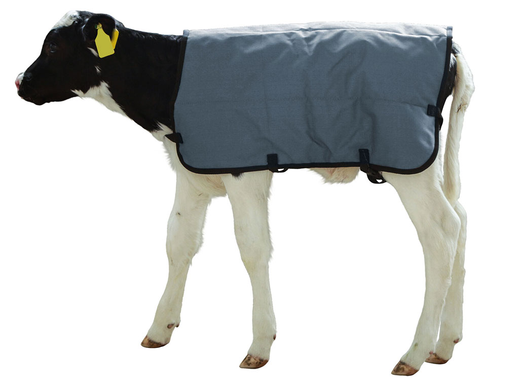 Termodeka pro telata KERBL 14155 RIPSTOPP 70 cm