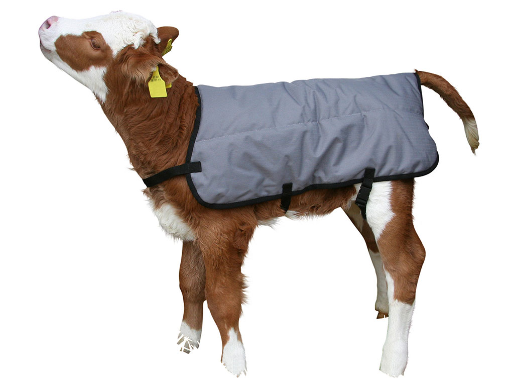 Termodeka pro telata KERBL 14156 RIPSTOPP 80 cm