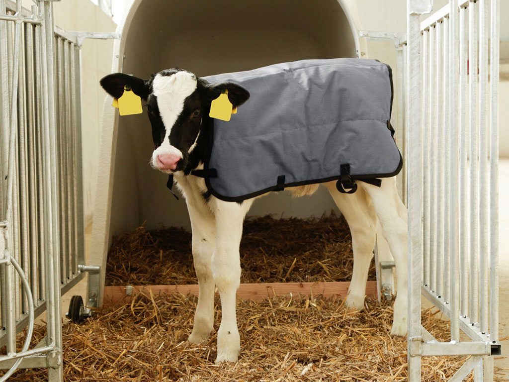 Termodeka pro telata KERBL 14156 RIPSTOPP 80 cm