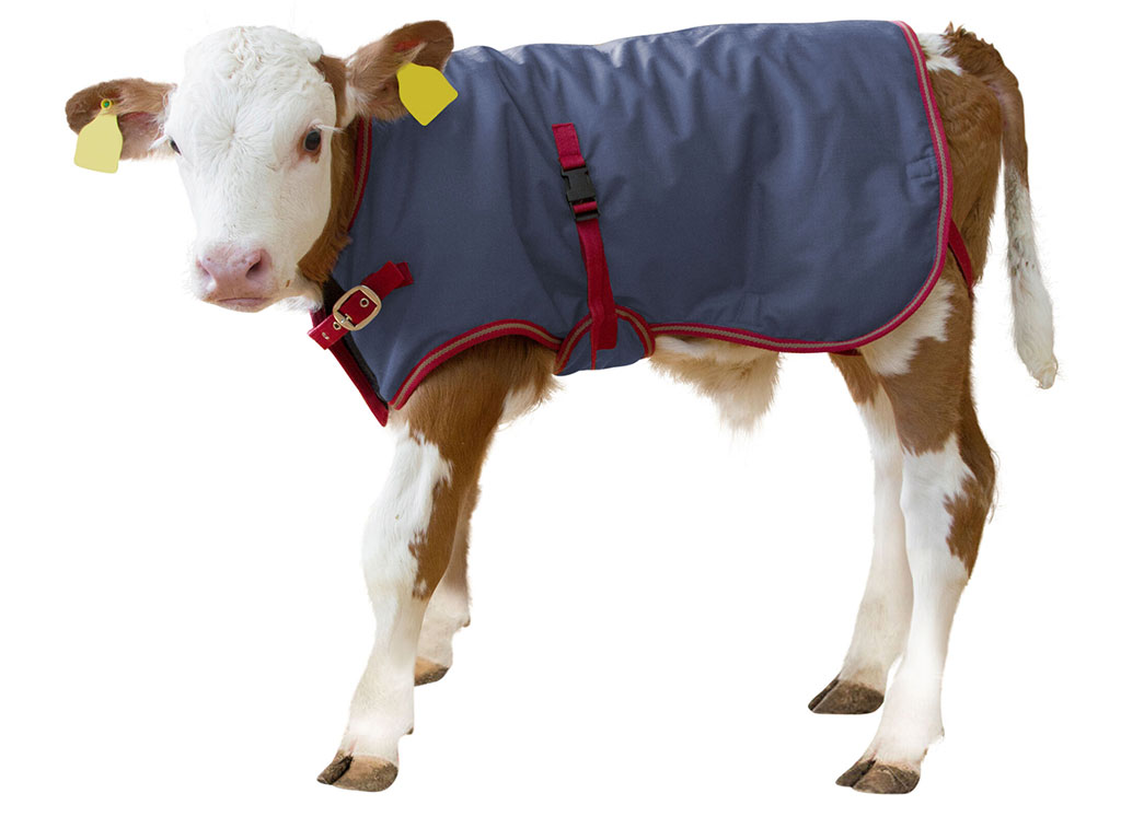 Termodeka pro telata KERBL 14149 THERMOPLUS 80 cm