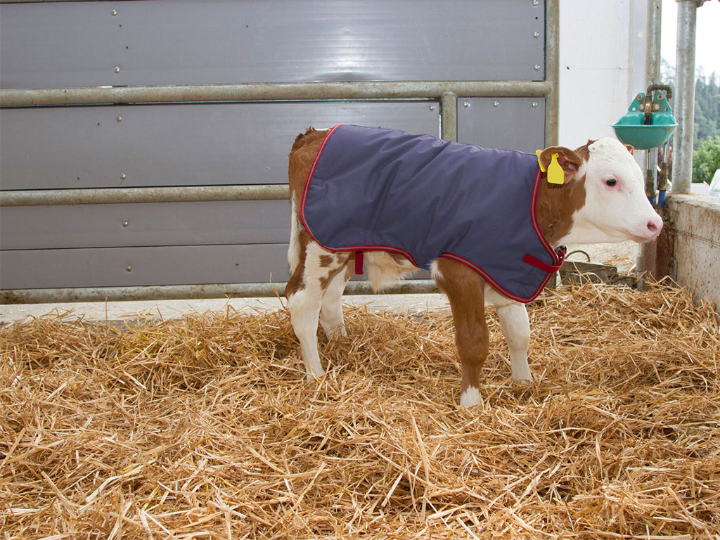 Termodeka pro telata KERBL 14149 THERMOPLUS 80 cm