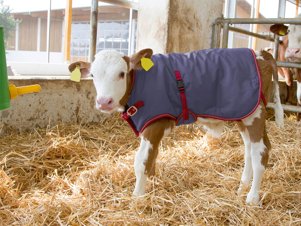 Termodeka pro telata KERBL 14149 THERMOPLUS 80 cm