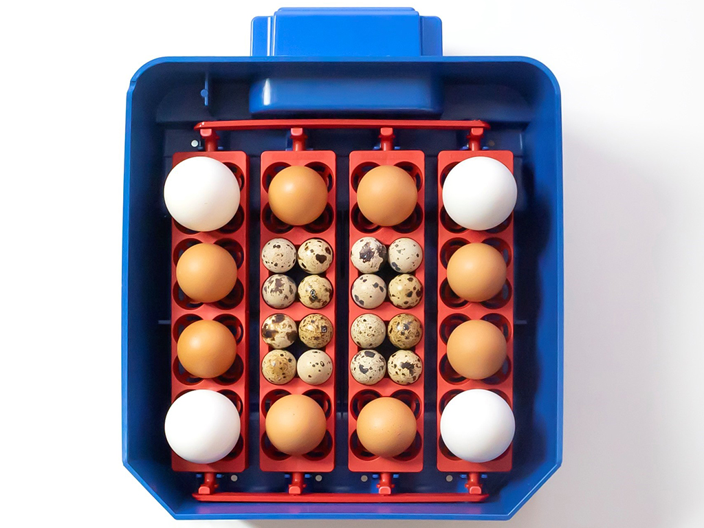 Automatická líheň na vejce BOROTTO LUMIA 16 AUTOMATIC