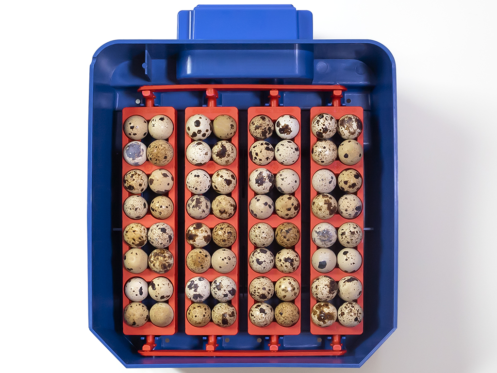 Automatická líheň na vejce BOROTTO LUMIA 16 AUTOMATIC