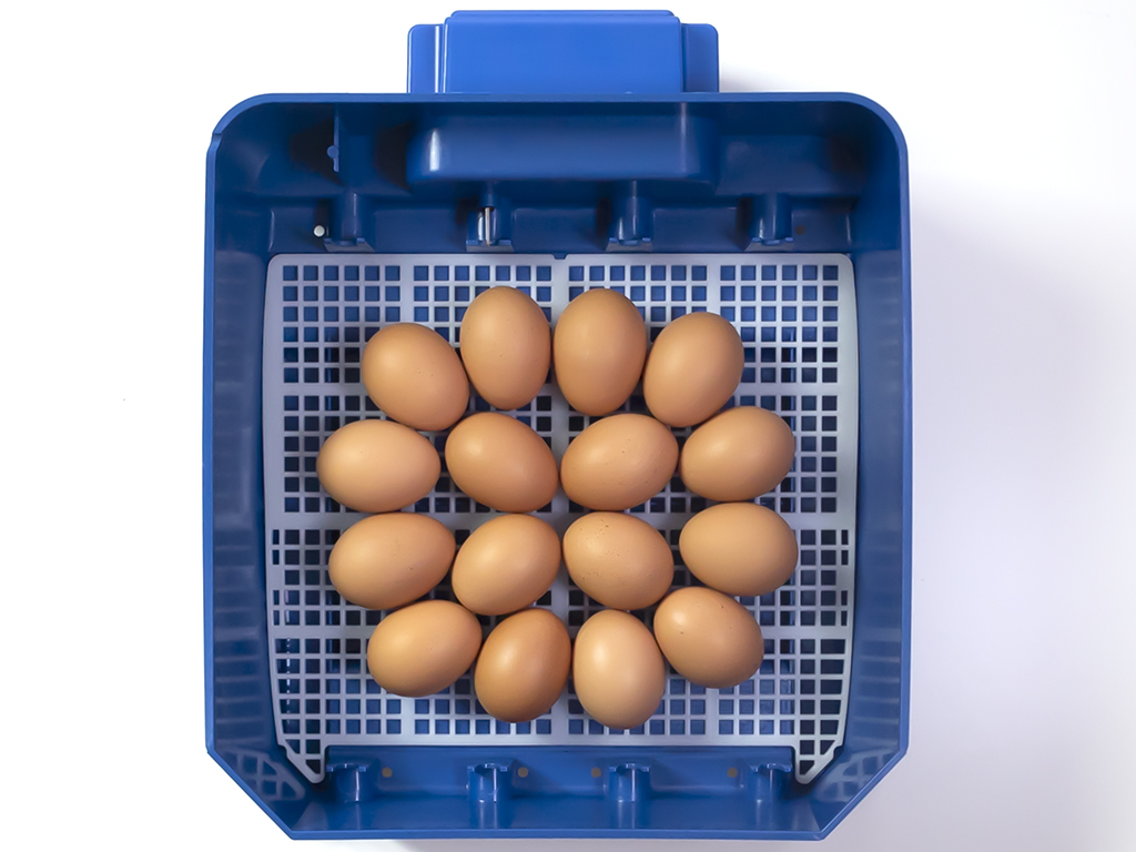 Automatická líheň na vejce BOROTTO LUMIA 16 AUTOMATIC