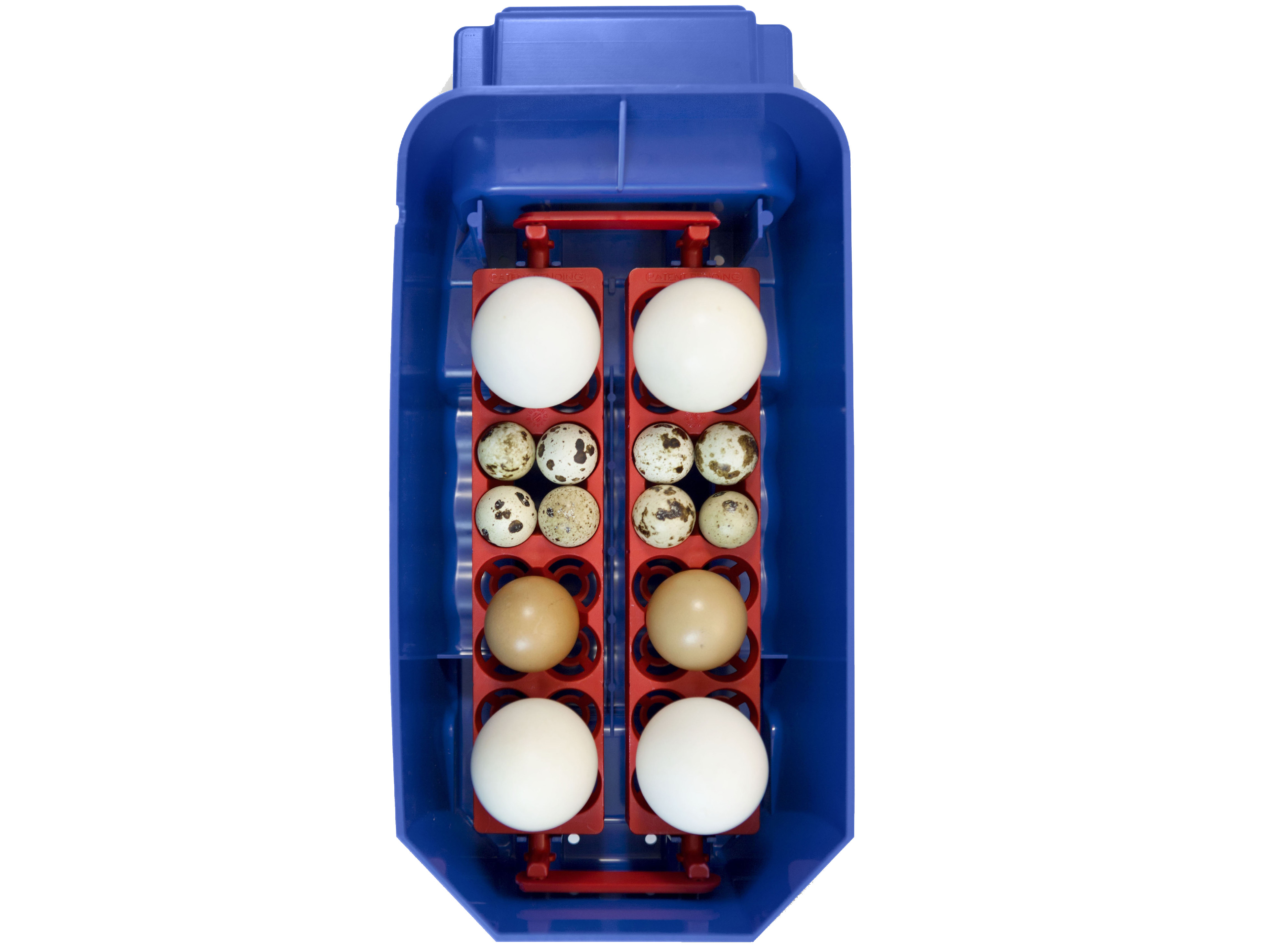 Automatická líheň na vejce BOROTTO LUMIA 8 AUTOMATIC