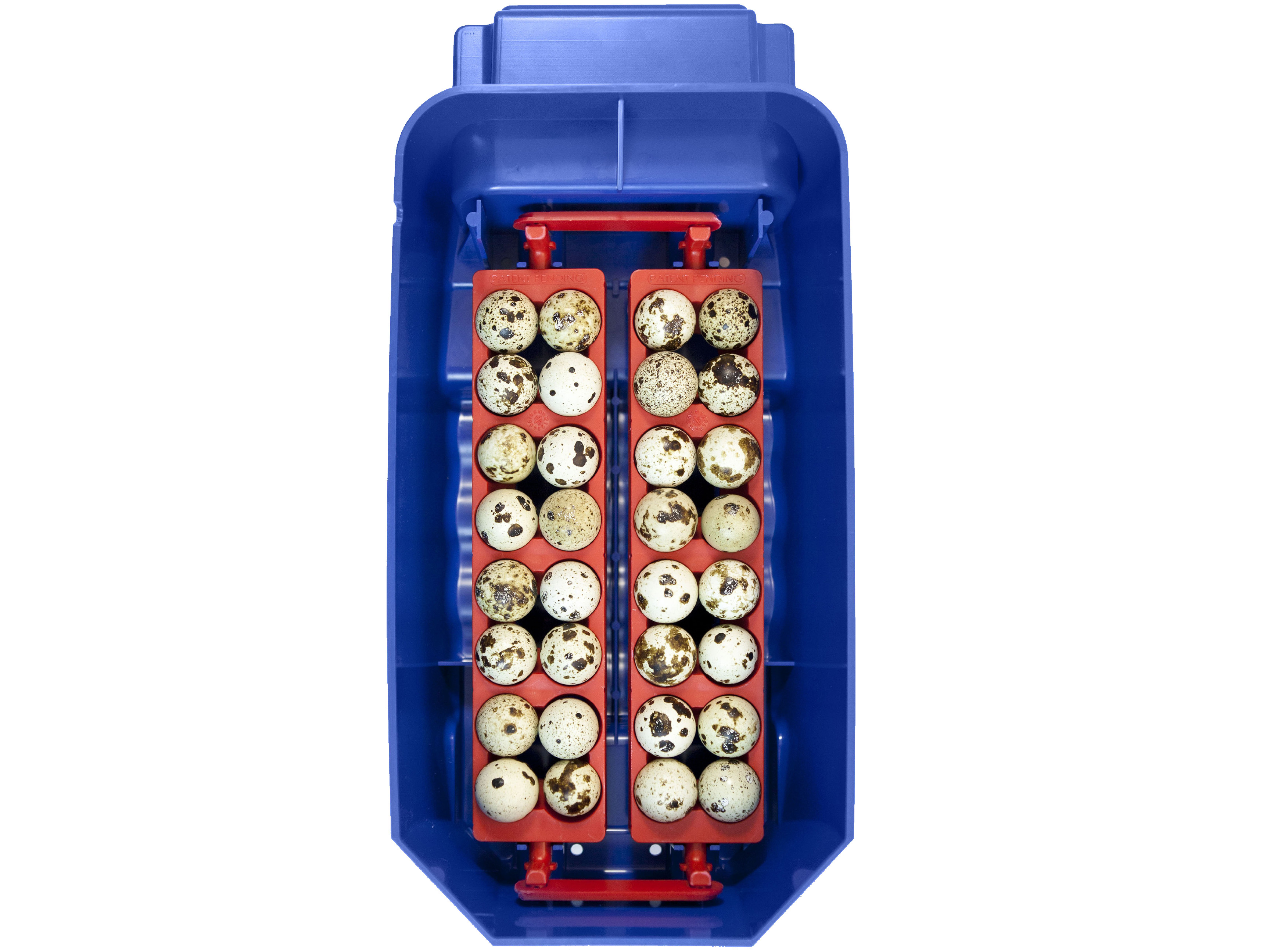 Automatická líheň na vejce BOROTTO LUMIA 8 AUTOMATIC