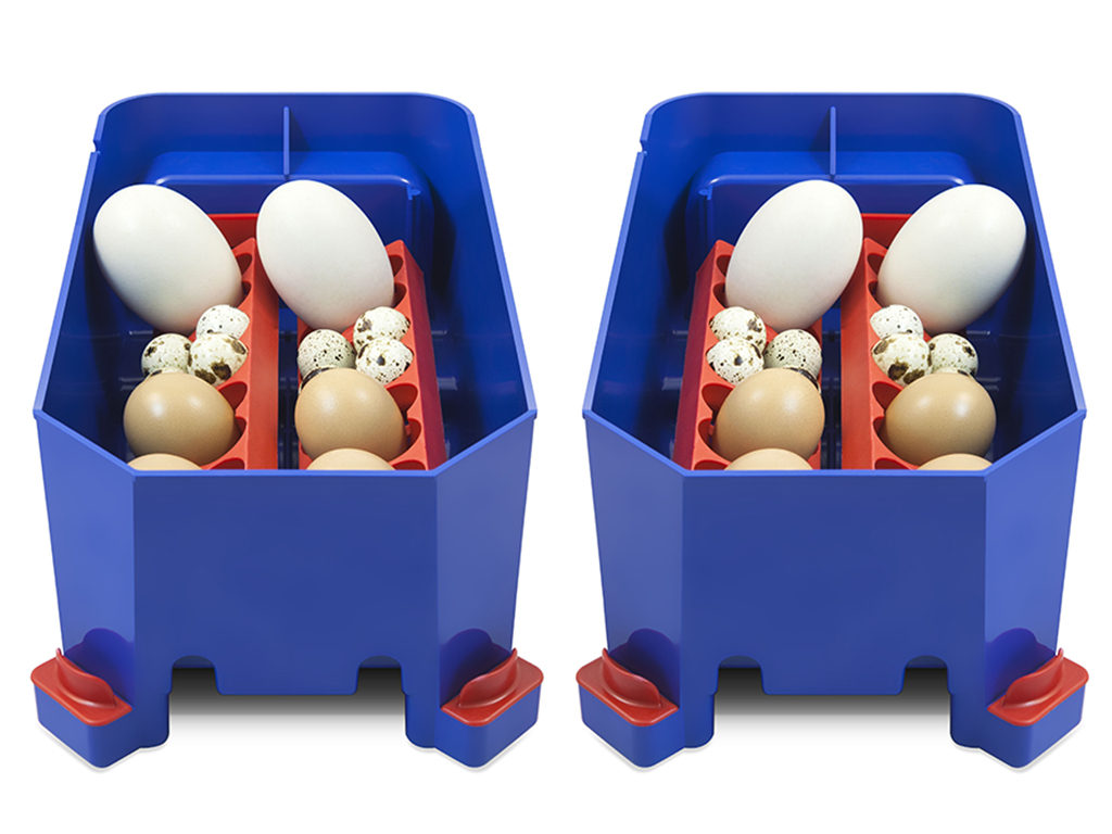 Automatická líheň na vejce BOROTTO LUMIA 8 AUTOMATIC