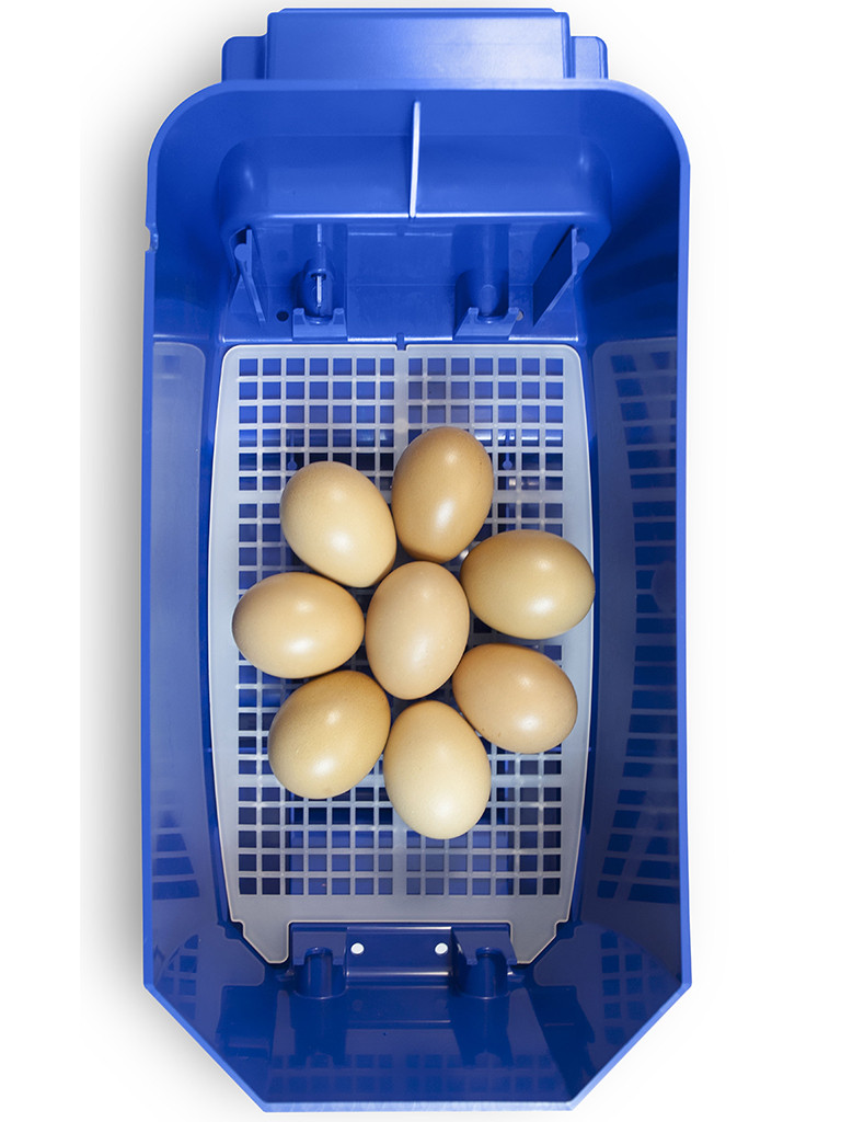 Automatická líheň na vejce BOROTTO LUMIA 8 AUTOMATIC