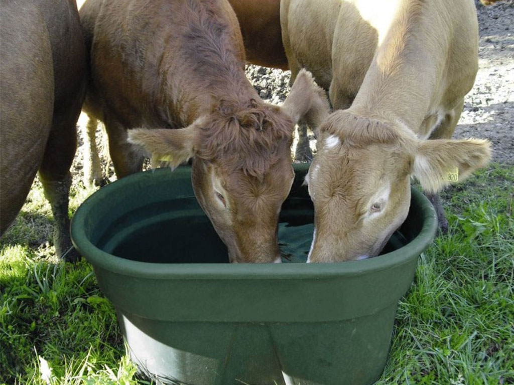 Napajedlo pro skot, koně, ovce KERBL 223518 - 150 l