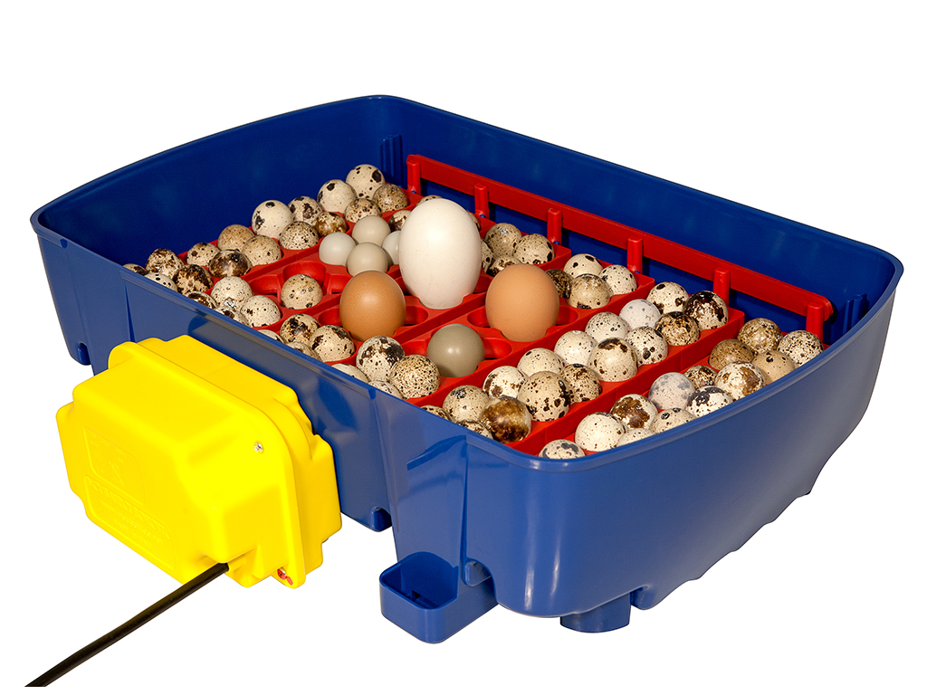 Plně automatická líheň na vejce BOROTTO REAL 24 EXPERT