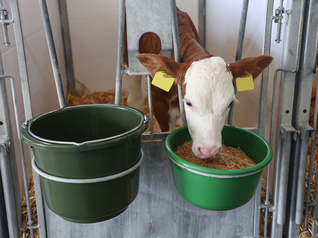 Univerzální plastová mísa na krmení KERBL 14711 - 8 l, zelená