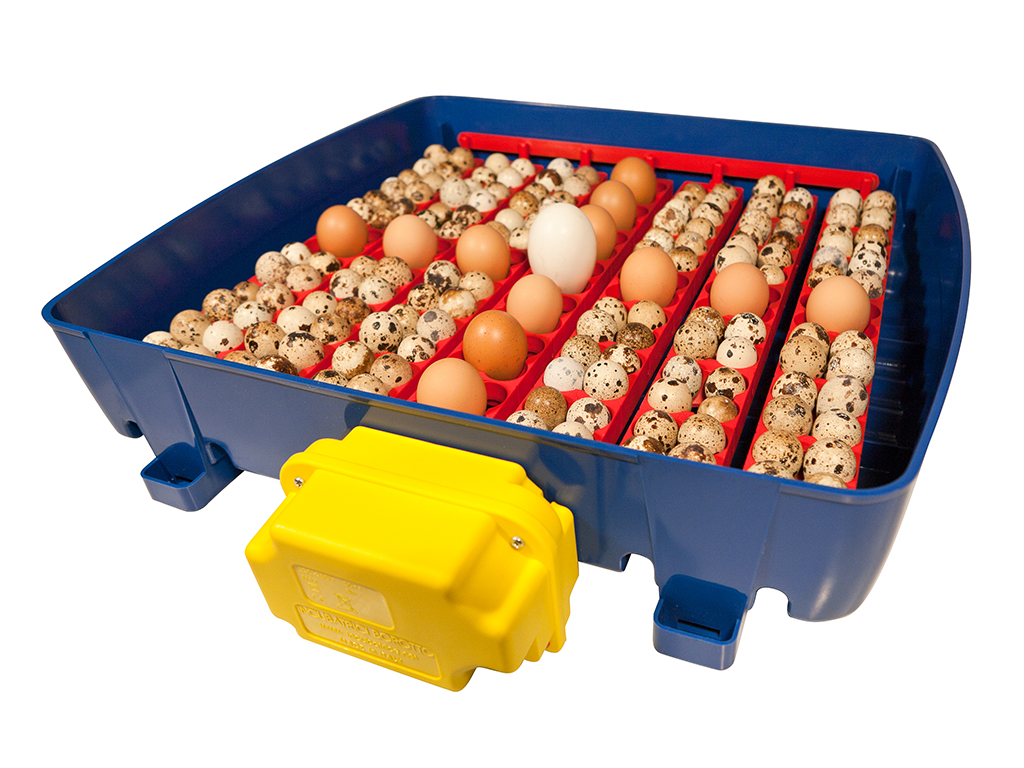 Plně automatická líheň na vejce BOROTTO REAL 49 EXPERT