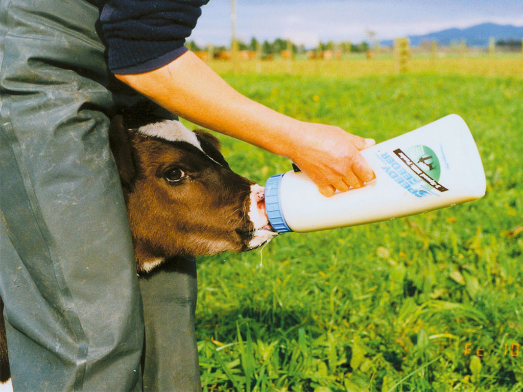 Krmná láhev pro telata s dudlíkem KERBL 1422 SPEEDY FEEDER 2,5l