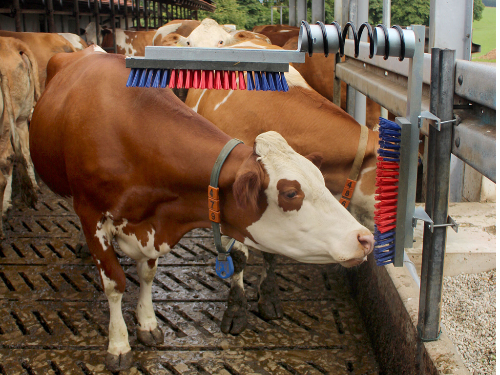 Drbadlo pružinové KERBL 29325 EUROFARM