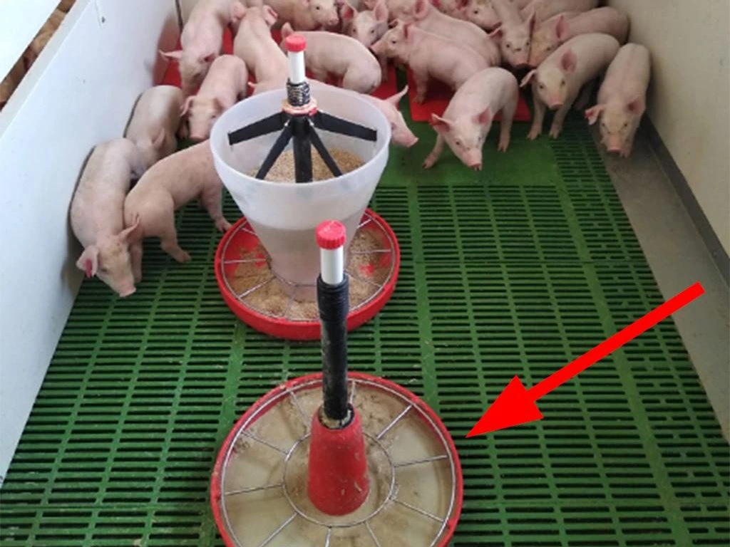 Adaptivní krmítko pro selata při odstavu KERBL 221075 MAXI PAN