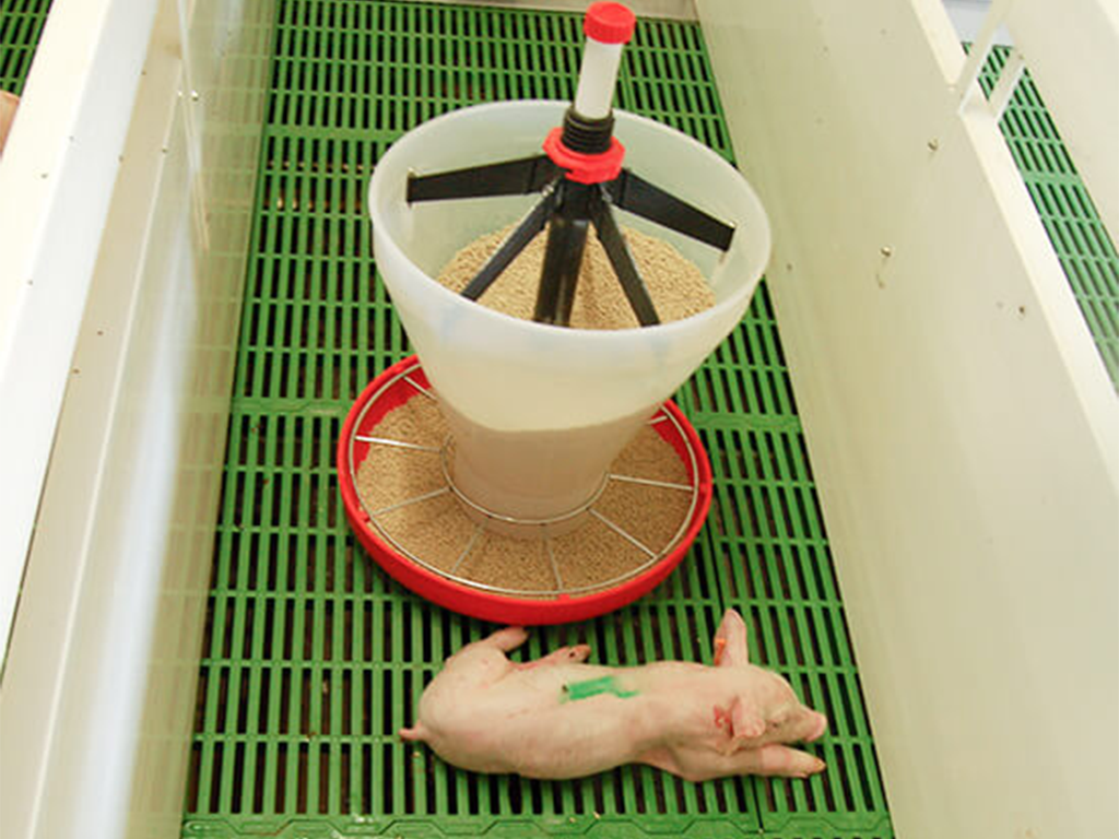 Adaptivní krmítko s násypkou pro selata při odstavu KERBL 221076 MAXI HOPPER PAN