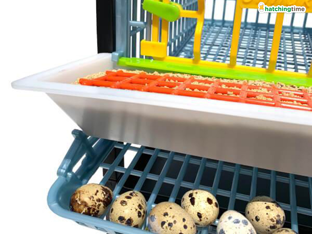 Klec pro křepelky CIMUKA BYK-03-1K