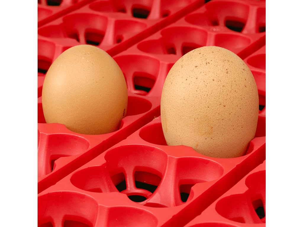 Líheň na vejce RIVER SYSTEMS ET 49 - s dolíhní drůbeže