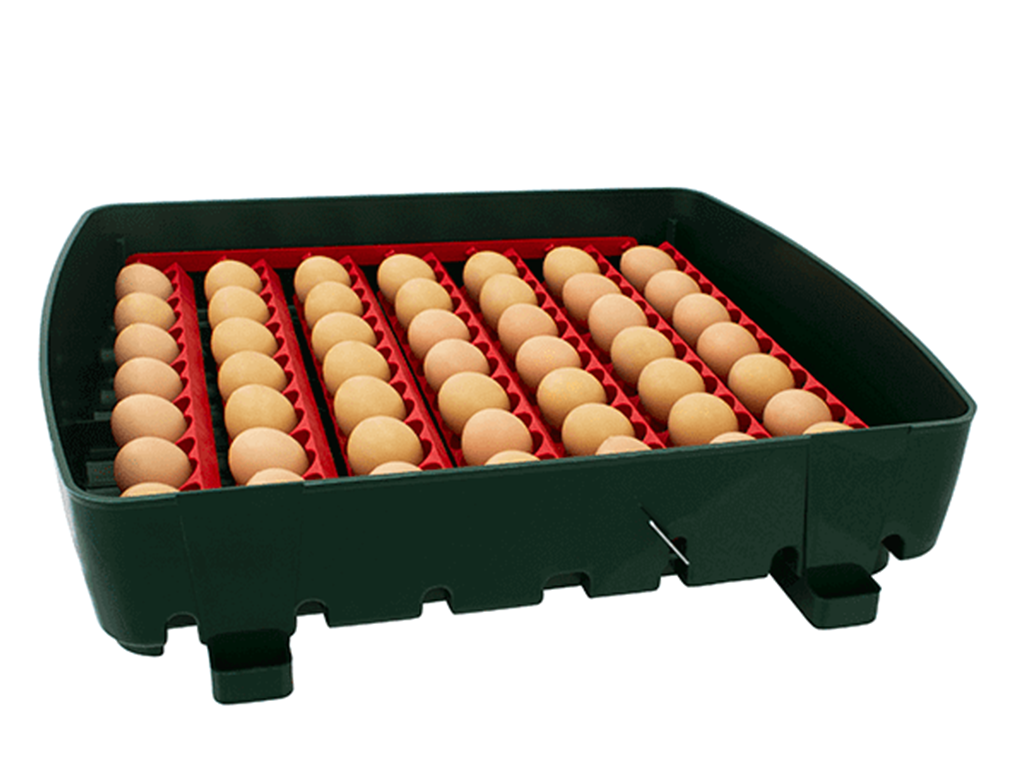 Líheň na vejce RIVER SYSTEMS ET 49 AUTOMATIC - s dolíhní drůbeže