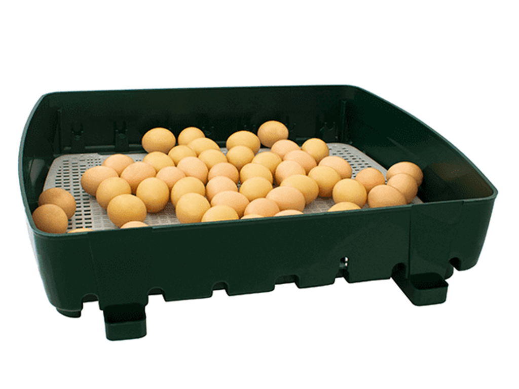 Líheň na vejce RIVER SYSTEMS ET 49 AUTOMATIC - s dolíhní drůbeže