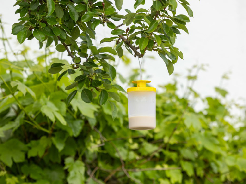 Lapač much včetně návnady KERBL CIT FLYCAGE3