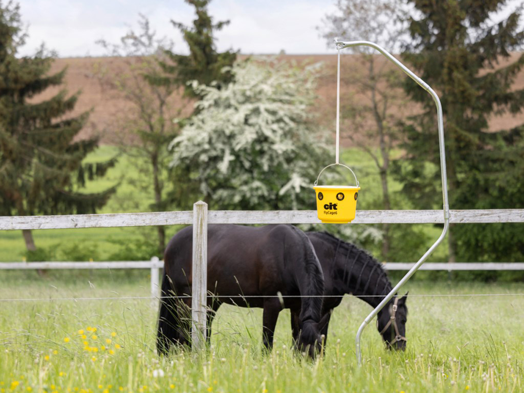 Lapač much včetně návnady KERBL CIT FLYCAGE6