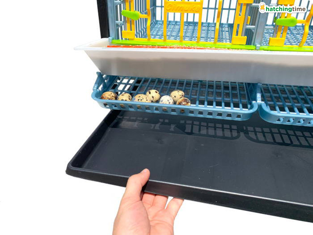 Klec pro křepelky CIMUKA BYK-03-4K