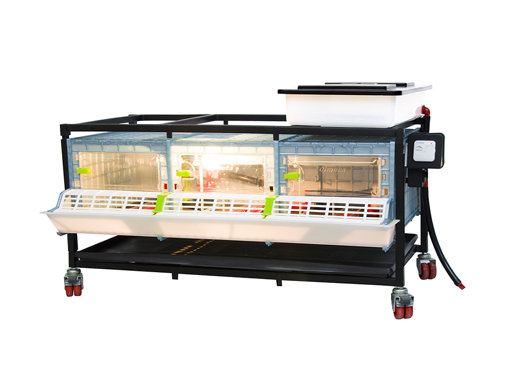 Odchovna drůbeže CIMUKA CB25-03-1K