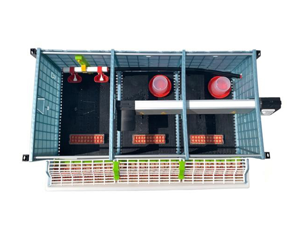 Odchovna drůbeže CIMUKA CB25-03-1K