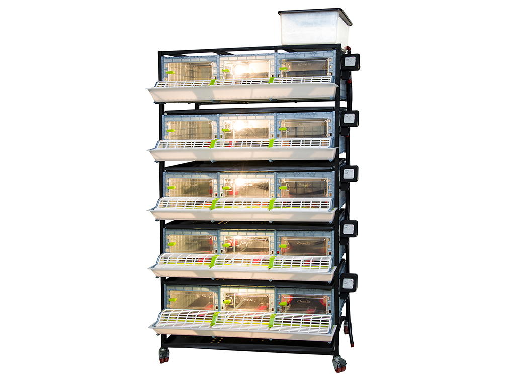 Odchovna drůbeže CIMUKA CB25-03-5K