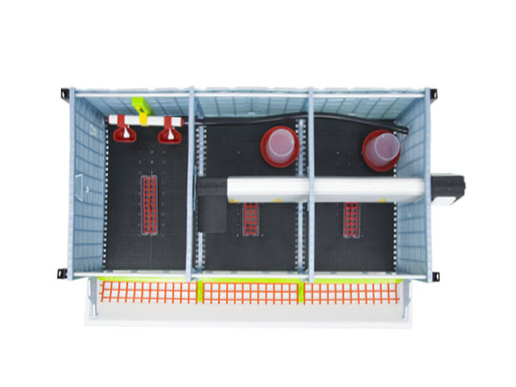 Odchovna drůbeže CIMUKA CB25-03-5K