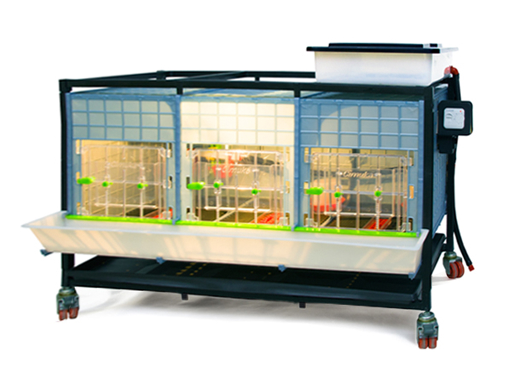 Odchovna drůbeže CIMUKA CB40-03-1K