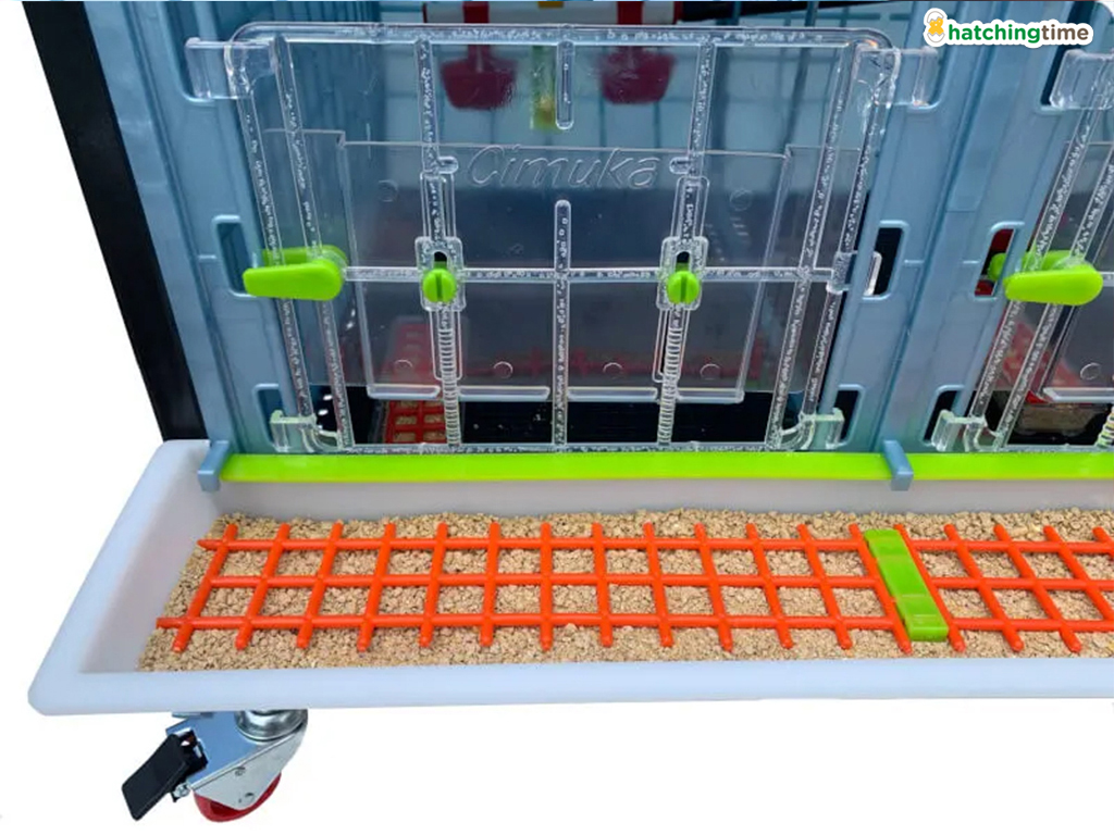 Odchovna drůbeže CIMUKA CB40-03-1K
