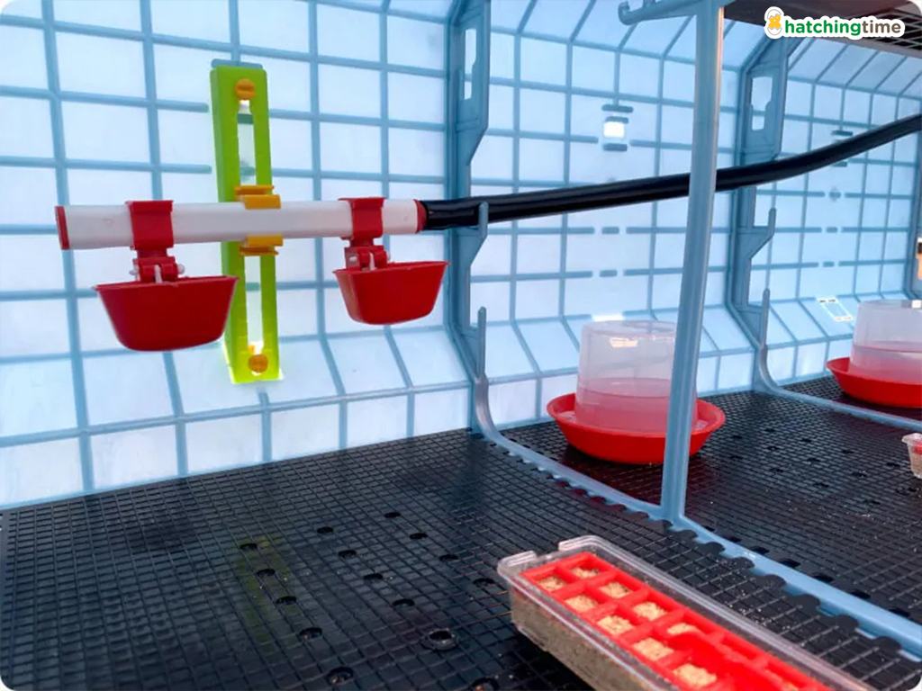 Odchovna drůbeže CIMUKA CB40-03-2K